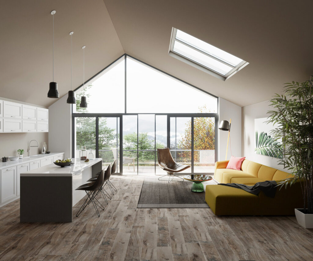 extension maison